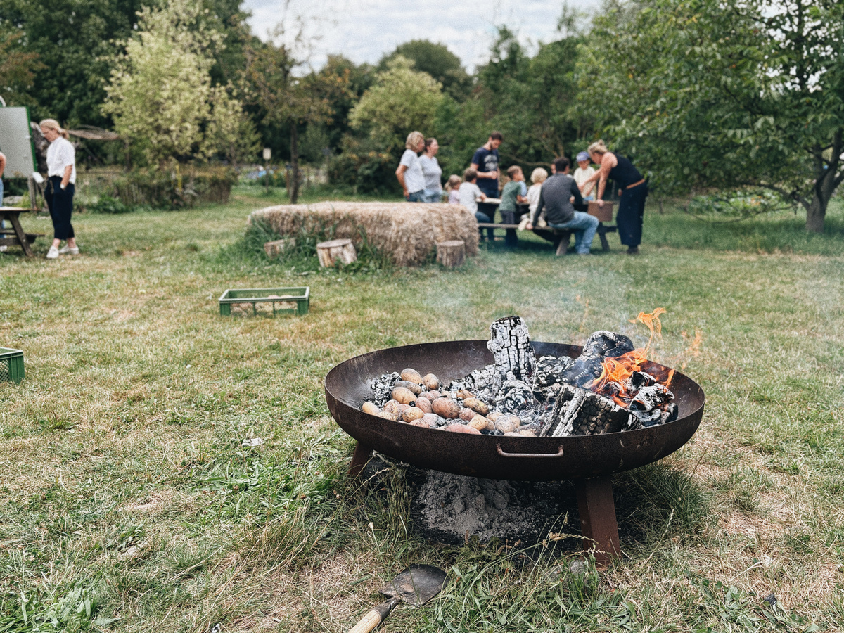 KI generiert: Eine Feuerschale mit brennenden Holzscheiten und Kartoffeln, im Hintergrund eine Gruppe von Menschen im Freien.