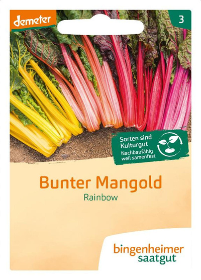 Produktfoto zu Mangold bunt Rainbow, SAATGUT