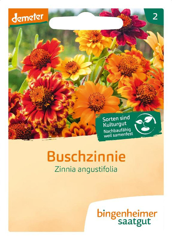Produktfoto zu Buschzinnie SAATGUT