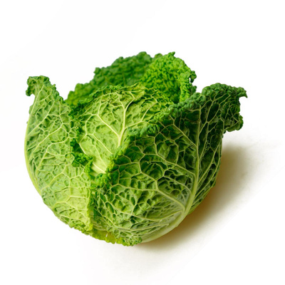 Produktfoto zu APFELBACHERs Wirsing 800gr+