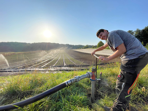 KI generiert: Person bedient ein Bewässerungssystem auf einem Feld bei Sonnenaufgang.
