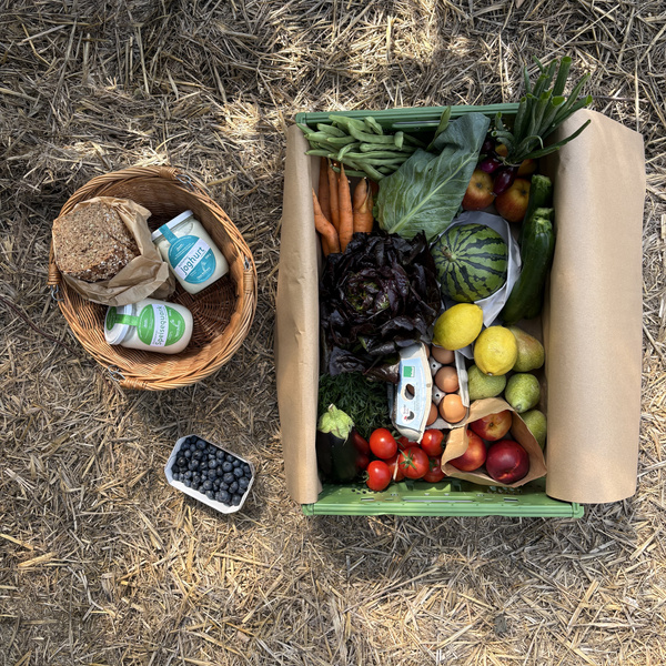 KI generiert: Ein Korb und eine Kiste mit frischem Obst, Gemüse, Eiern, Brot und Milchprodukten auf einem Strohboden.