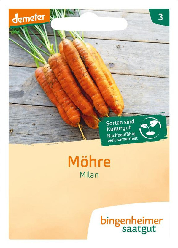 Produktfoto zu Möhren, Milan, SAATGUT