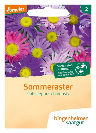 Produktfoto zu Sommeraster SAATGUT