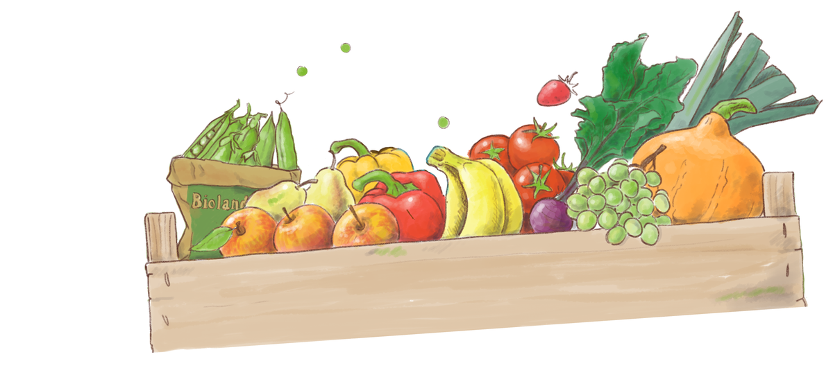 KI generiert: Holzkiste mit frischem Obst und Gemüse, darunter Erbsen, Paprika, Trauben, Tomaten und Kürbis. Text: "Bioland".