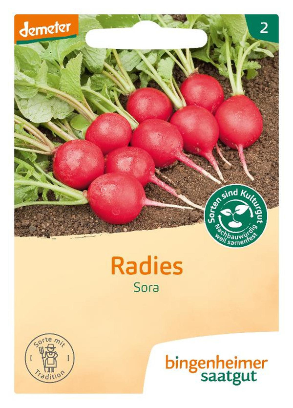 Produktfoto zu Radieschen Sora SAATGUT