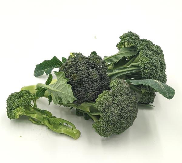 Produktfoto zu APFELBACHERs Brokkolisprossen