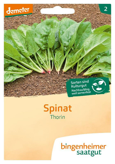 Produktfoto zu Spinat Thorin (ehem. Matador) SAATGUT