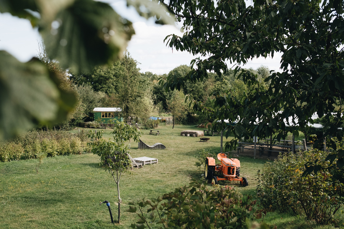 KI generiert: Grüne Landschaft mit Traktor, Bäumen und Holzhütten im Hintergrund.