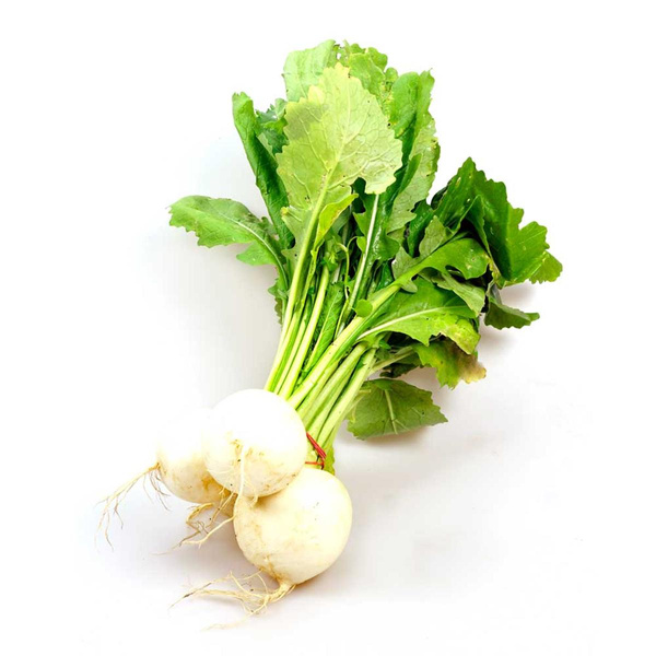 Produktfoto zu APFELBACHERs Mairübchen im Bund