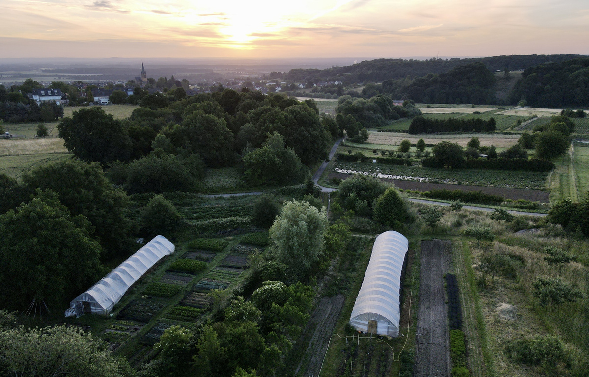 KI generiert: Landschaft bei Sonnenuntergang mit zwei Gewächshäusern und Feldern in einer ländlichen Umgebung.