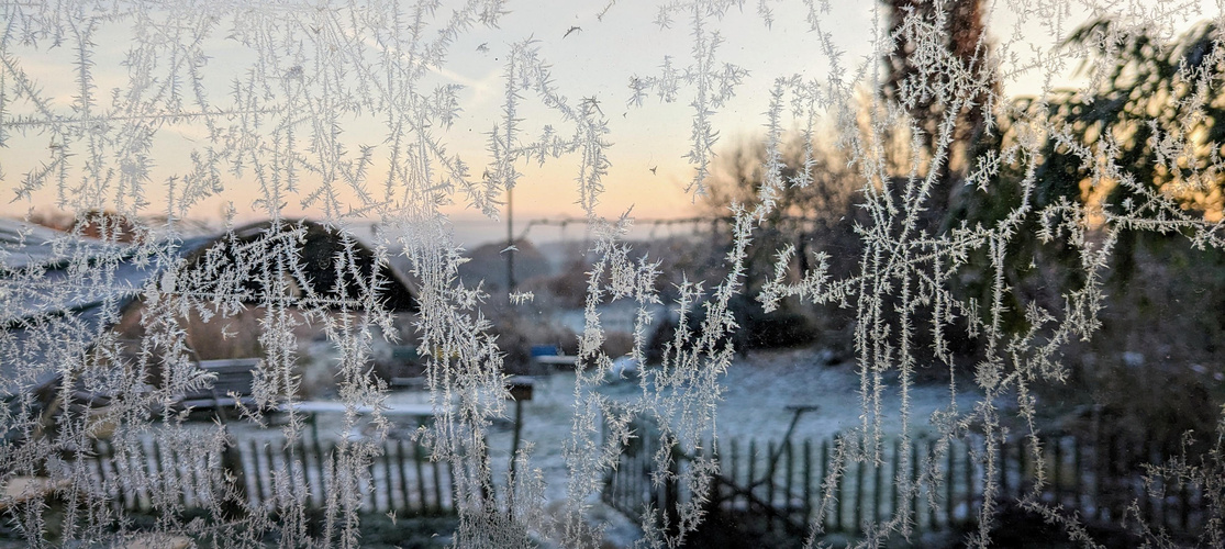 KI generiert: Gefrorene Eisblumen auf einem Fenster mit einem winterlichen Garten im Hintergrund.