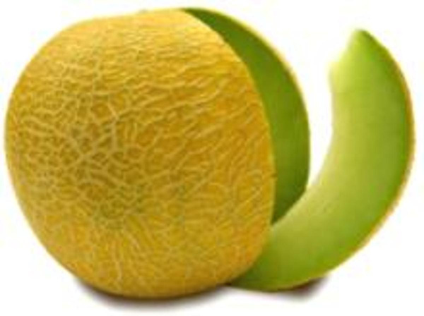 Produktfoto zu Melone Galia