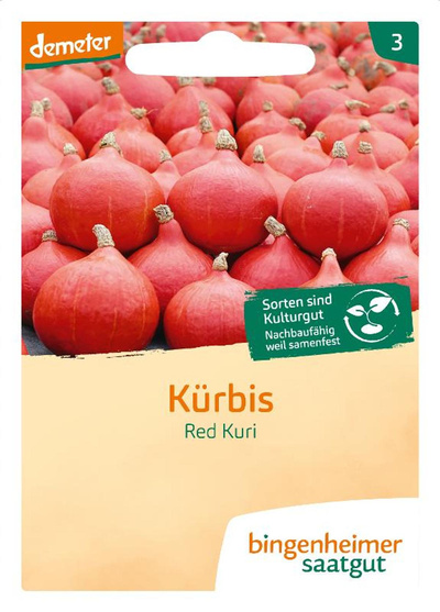 Produktfoto zu Hokkaido-Kürbis Red Kuri SAATGUT