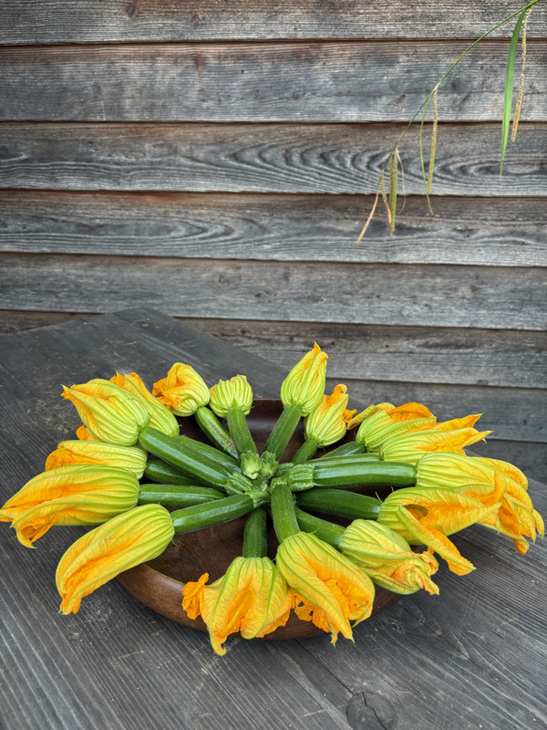 KI generiert: Zucchiniblüten in einer Schale vor einer Holzwand arrangiert.