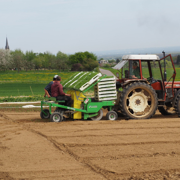 KI generiert: Traktor zieht eine Pflanzmaschine auf einem Feld. Zwei Personen arbeiten daran.