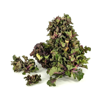 Produktfoto zu APFELBACHERs Flowersprouts am Strunk