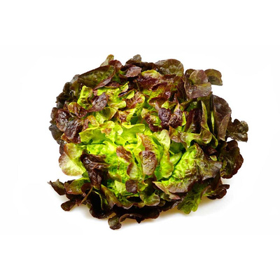 Produktfoto zu APFELBACHERs Salat
