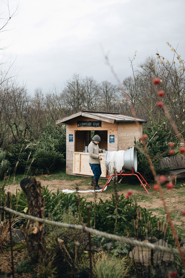 KI generiert: Das Bild ist ein Plakat, das für einen Weihnachtsmarkt am Biohof Apfelbacher am 7. Dezember 2024 wirbt. Es enthält Informationen über verschiedene Attraktionen wie Kinderaktionen, Bioland-Weihnachtsbaumverkauf, Live-Musik und regionale Ausstellende.