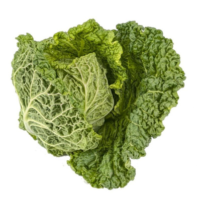 Produktfoto zu THEOs kleiner Wirsing 400g+