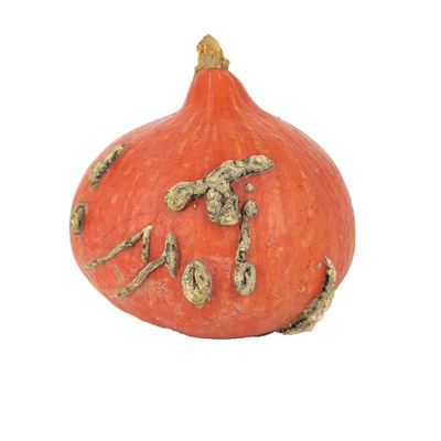 Produktfoto zu APFELBACHERs Hokkaido Kürbis ca 700gr+