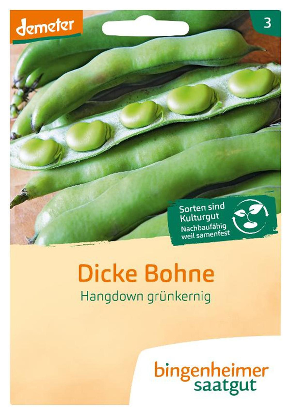 Produktfoto zu Dicke Bohne Hangdown SAATGUT