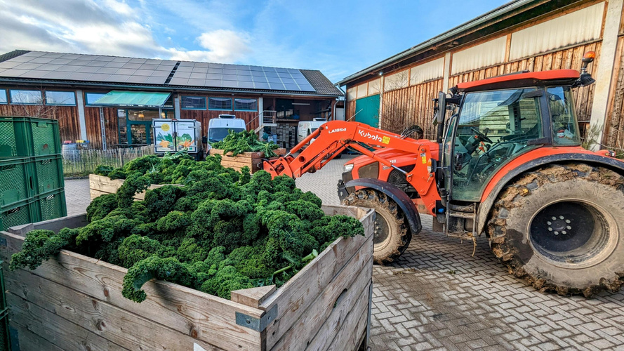 KI generiert: Traktor transportiert große Kiste Grünkohl auf Bauernhof mit Solaranlage im Hintergrund.