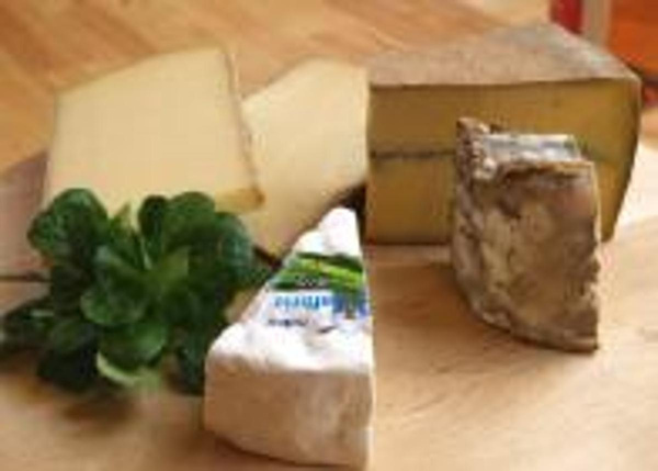 Produktfoto zu Sarmer, Schafkäse vom Ulmenhof, Stück ca. 180g
