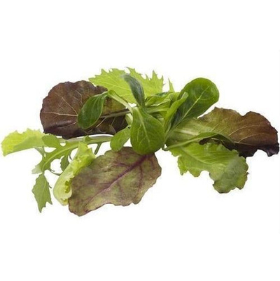 Produktfoto zu Pflücksalate aus dem Vorgebirge 150gr Btl