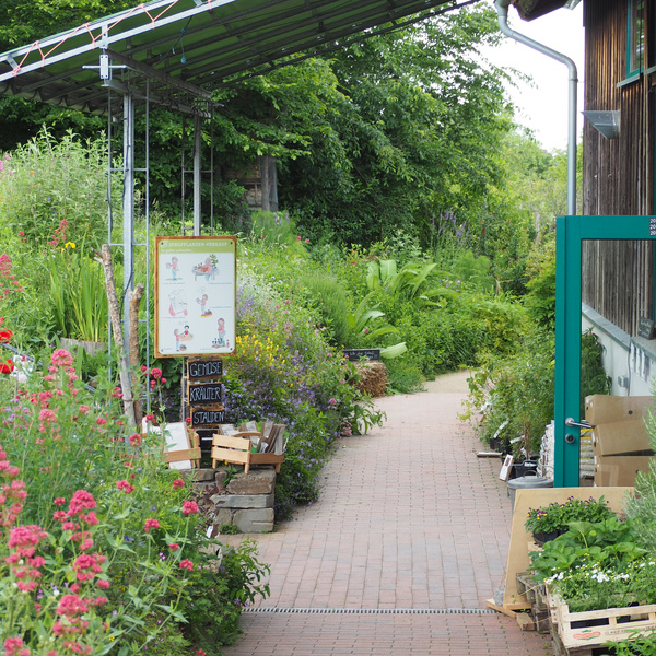 KI generiert: Ein grüner Gartenweg mit Pflanzen, Infotafeln und einer Tür. Text: "Gemüse, Kräuter, Stauden".