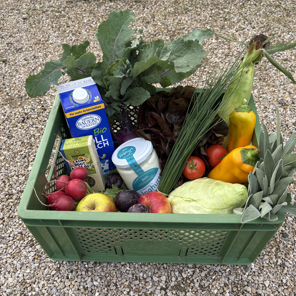 KI generiert: Bio-Lebensmittelkiste mit Obst und Gemüse.