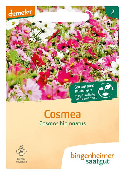 Produktfoto zu Cosmea, SAATGUT