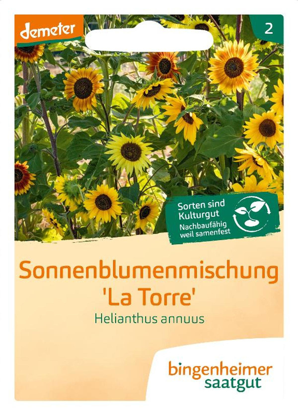 Produktfoto zu Sonnenblume "La Torre" SAATGUT