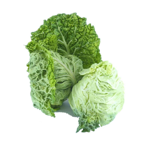 Produktfoto zu APFELBACHERs zarter Früh-Wirsing, kg