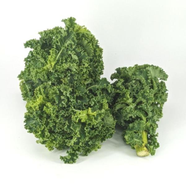 Produktfoto zu APFELBACHERs Grünkohlsprossen am Strunk