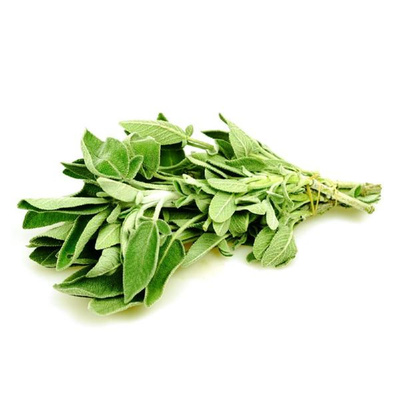Produktfoto zu Salbei, Bund