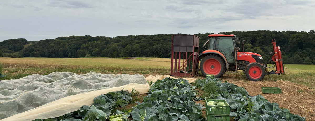 KI generiert: Ein Traktor steht auf einem Feld mit Gemüse und Netzen, umgeben von grüner Landschaft.