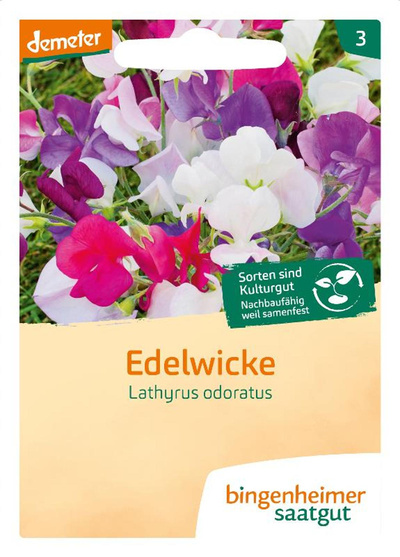 Produktfoto zu Edelwicke, SAATGUT