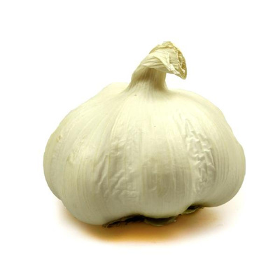 Produktfoto zu Knoblauch Knolle