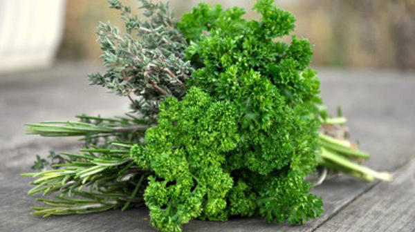 Produktfoto zu Bouquet garni, Kräutermix Bd.