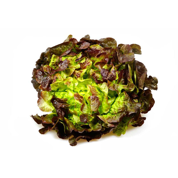 Produktfoto zu THEOs Salat