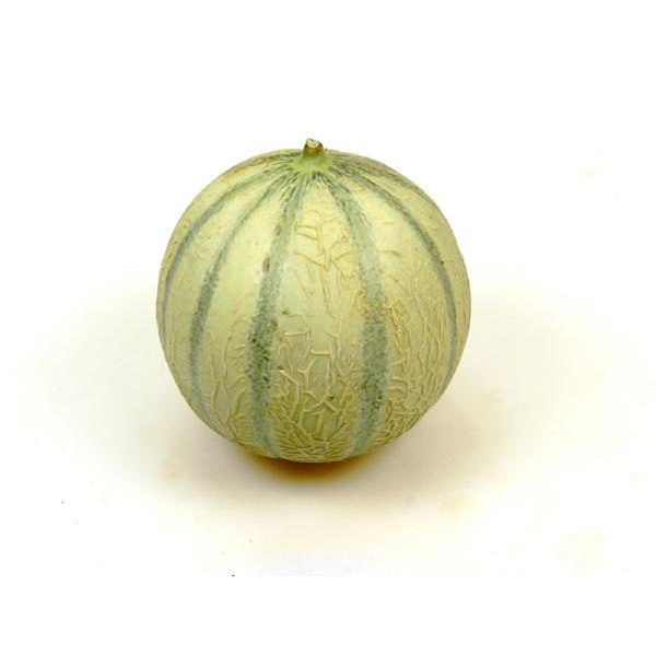 Produktfoto zu Cantaloupe Melone ca. 450gr+