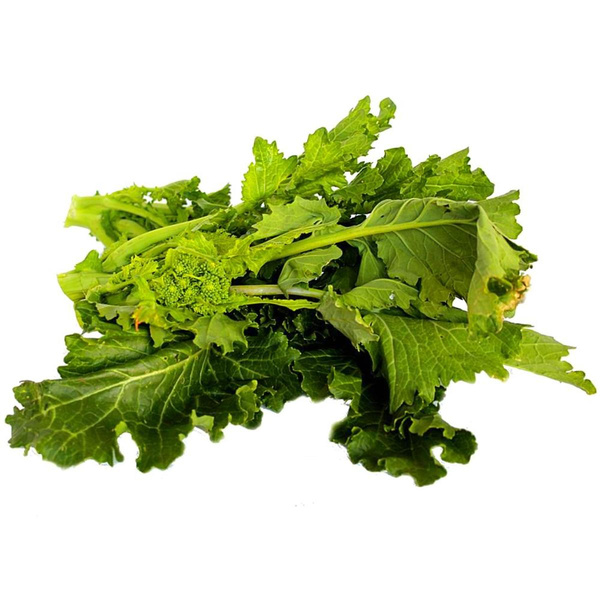 Produktfoto zu Cime di Rapa