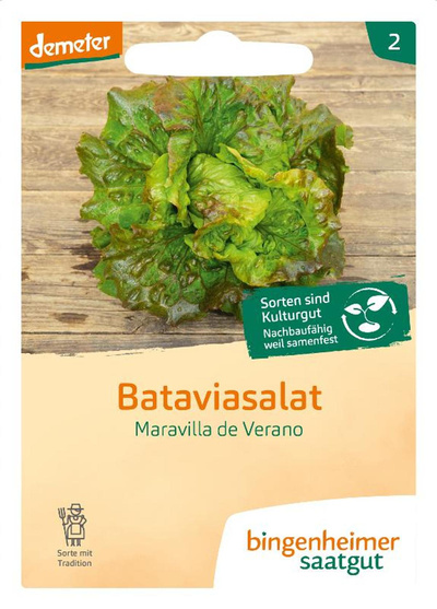 Produktfoto zu Bataviasalat - Maravilla de Verano SAATGUT