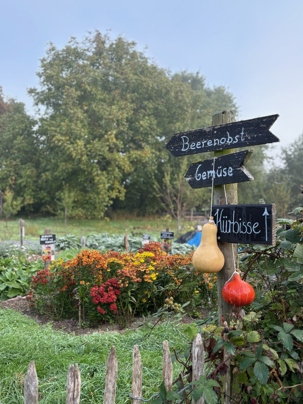 KI generiert: Ein Garten mit Schildern: "Beerenobst", "Gemüse" und "Kürbisse". Im Hintergrund Blumen und Bäume.