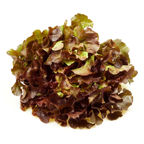 Produktfoto zu APFELBACHERs Salat, 2. Sorte
