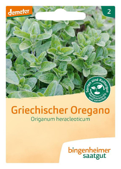 Produktfoto zu Oregano, griechischer SAATGUT