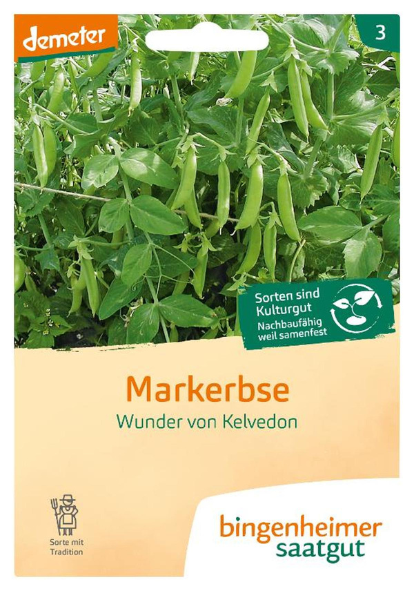 Produktfoto zu Markerbse "Wunder v. Kelvedon", SAATGUT