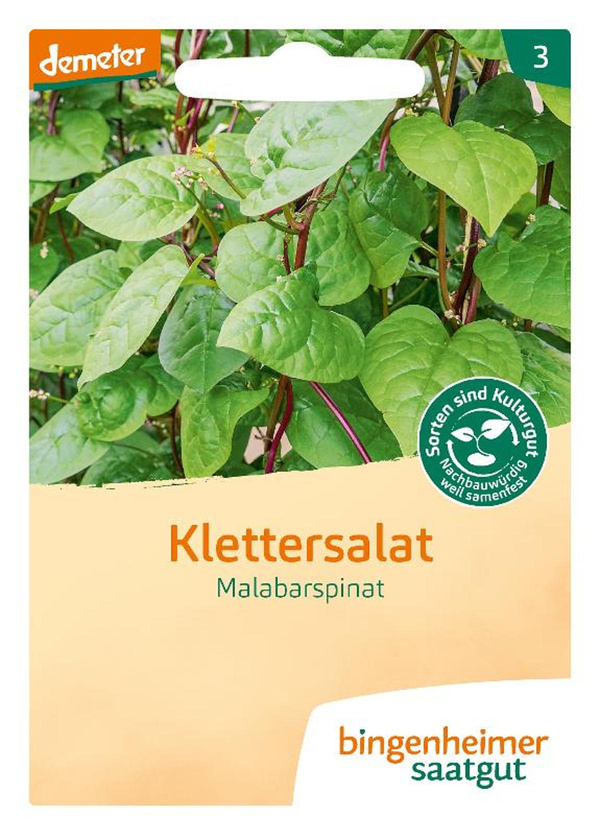 Produktfoto zu SG Klettersalat Malabarspinat