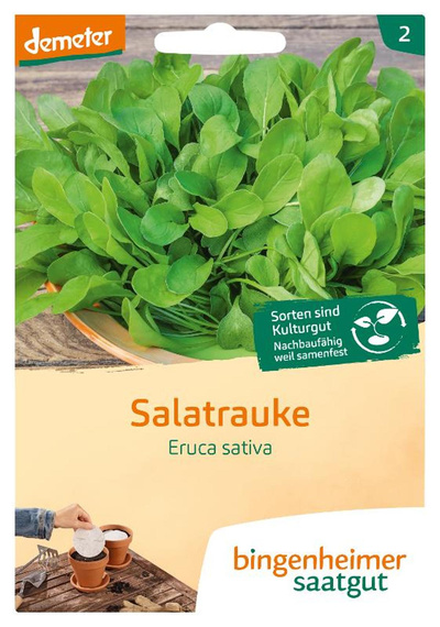 Produktfoto zu Salatrauke SAATSCHEIBEN